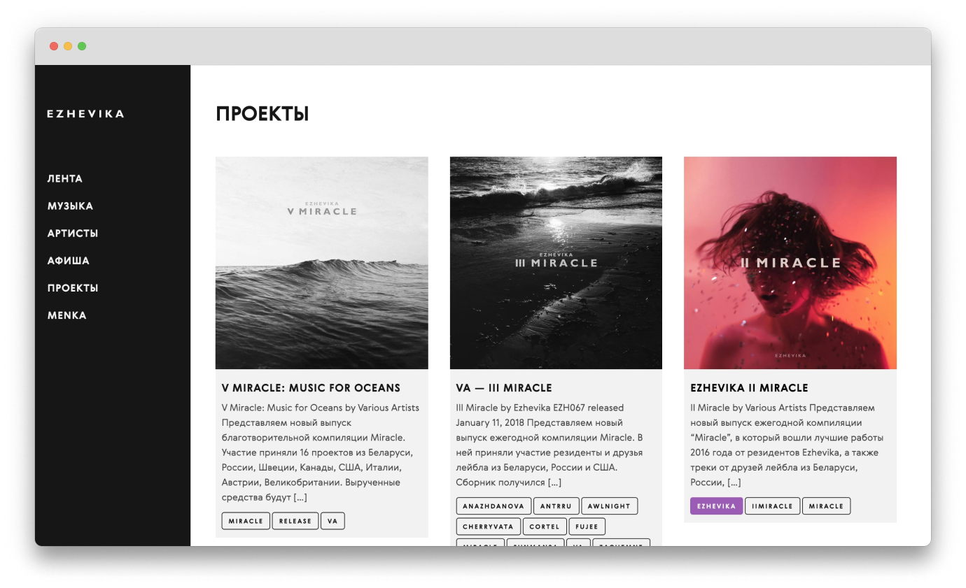 A screenshot of projects page on Ezhevika website